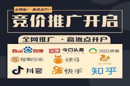 百度推广实战：案例分享与效果评估